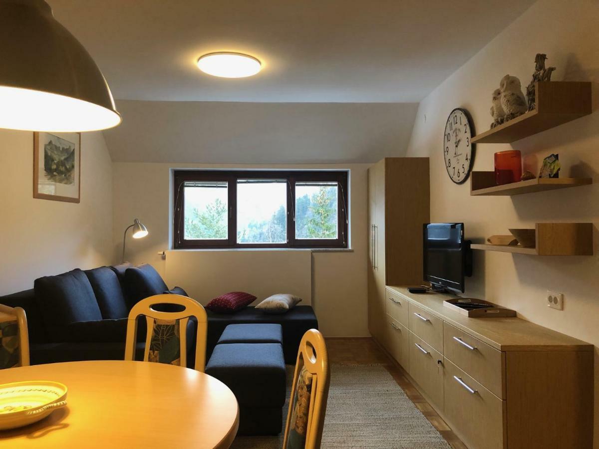 Apartment Megi 克拉尼斯卡戈拉 外观 照片